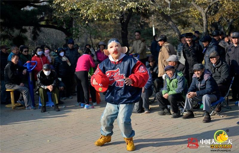 熙攘的街头，人流攒动，一名头戴“猪八戒”面具，身穿嘻哈服饰的男子在手机前舞动着身体，吸引了大批路人的目光。他叫王智，今年40岁，是一名街舞老师，也是一名网络主播。在与街舞结缘的20年里，他做过西服、打过零工、送过外卖。但最终，他还是选择辞去工作，每天穿梭于沈阳的街头、公园、广场，跳他喜欢的街舞。