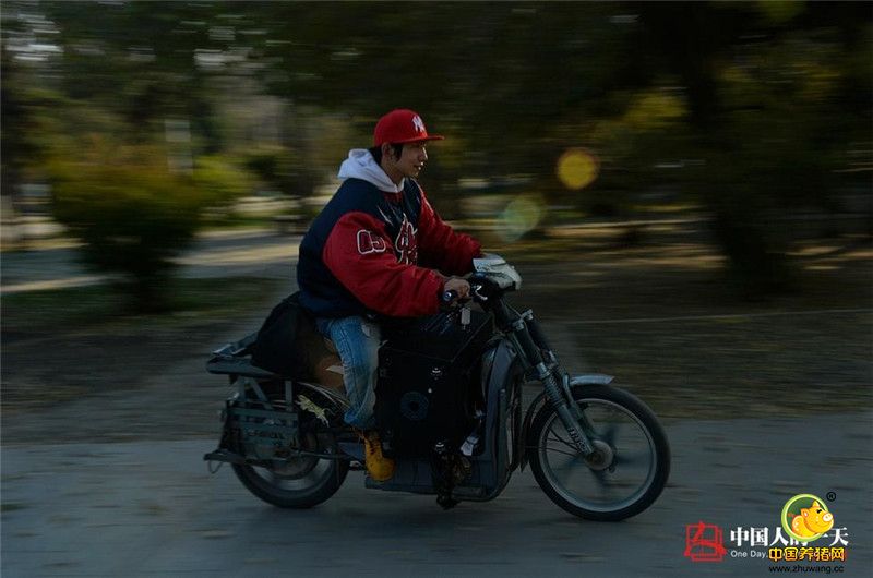 王智说，教别人跳舞只局限于教基础动作，不能完全释放自己跳舞的热情，而直播跳舞让他更轻松、更享受。面对直播时出现的那些难听的评论，王智表示做直播这一行，必须有一颗强大的内心。