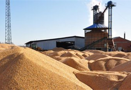 哈尔滨巴彦两家饲料厂及多家养电子游艺网站
敞开大门收粮