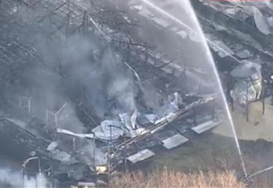 日本一养电子游艺网站
着大火 约5300头猪被烧死