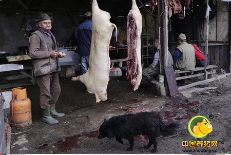 12月11日，在塞尔维亚贝尔格莱德以北的莫罗维奇，工人在一家传统宰电子游艺网站劳作。