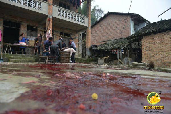 现场留下的血迹。