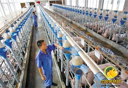 湖南重大专项助建“智能电子游艺网站
”