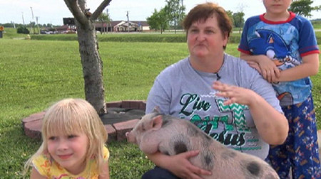 居民家养猪当宠物 夜间失火小猪叫醒主人救命