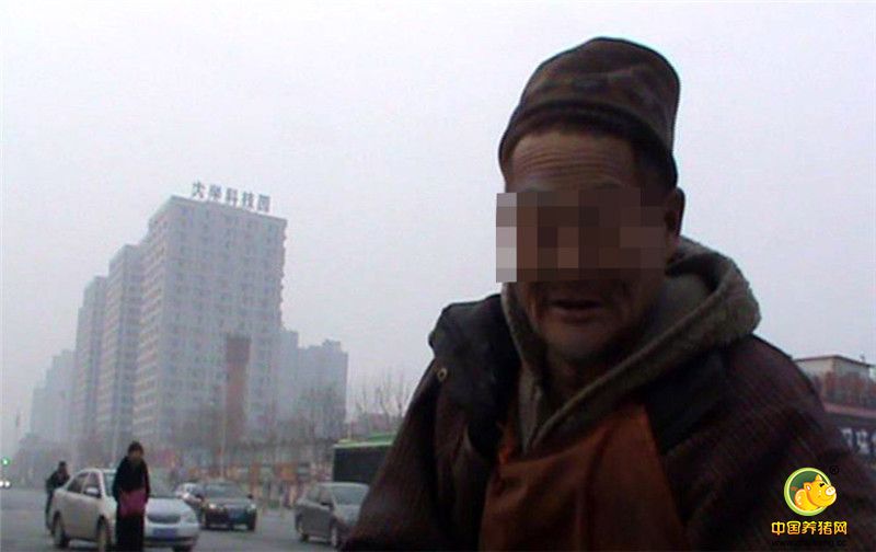 据知情者称，在这里喂猪的是一名70多岁的老人，无儿无女，自打年轻时候就在附近养猪，几十年来一直在铁路附近的过道中养猪为生，如今少说也有50多年了。