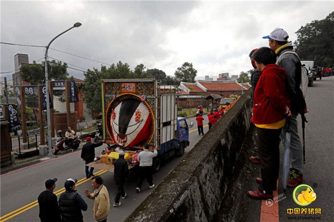 去年农历腊月二十比赛结果出炉，刘进生饲养的1407台斤大猪公赢得特等奖，其余一等到四等分别由刘心正、刘进发、刘文吉、刘铭新获得。图为游行途中，民众围观获得特等奖的神猪。