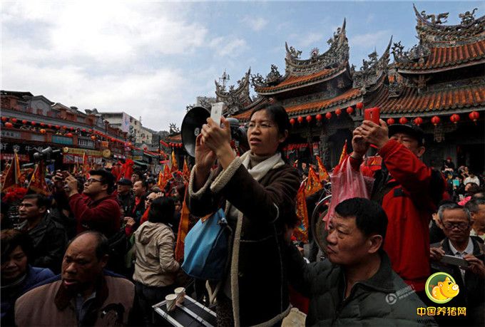 当日一早，5头大猪公在三峡复兴、民生路会合，沿民生、文化、中山、仁爱、及民族街五巷游行。人潮虽比去年少，但沿路民众热情施放鞭炮迎接，10时许，5头神猪在庙埕一字排开，民众抢拍照，挤得水泄不通。