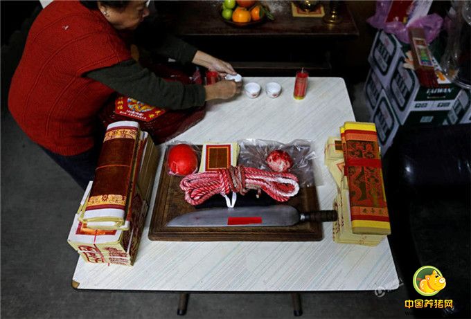 去年，刘进生高龄98岁的母亲意外摔伤，目前仍坐轮椅，刘进生希望今年献给神明的大猪公能为母亲祈求身体健康，因此去年9月挑选了一头已有900台斤的猪公，饲养过程中很注意环境整洁，天热时一定开电扇，不强迫灌食，希望猪公好好成长。图为用来宰杀神猪的工具。