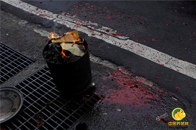 宰杀后，地上满是猪血。