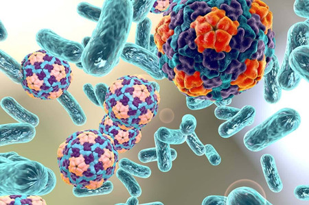 丰强生泰——四联活菌制剂 　　