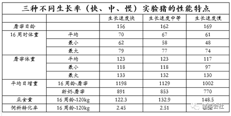 英国黑科技：出栏体重是算出来的