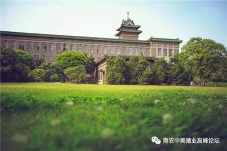 机不可失！与中美顶级猪业专家面对面交流，一站式解决电子游艺网站
问题