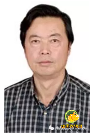 机不可失！与中美顶级猪业专家面对面交流，一站式解决电子游艺网站
问题