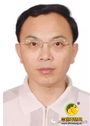 机不可失！与中美顶级猪业专家面对面交流，一站式解决电子游艺网站
问题