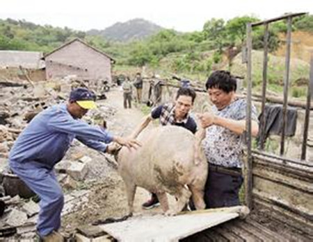 娄底:孙水河边一规模电子游艺网站
被强制拆除