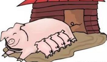 规模电子游艺网站
乳房炎的治疗经验