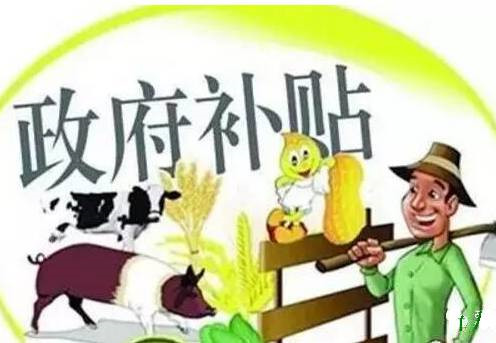 养猪人看过来：给你20万补贴　要不要？