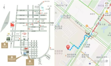 疫病怎样防？饲养水平如何提高？第二届南农中美猪业高峰论坛告诉你答案！