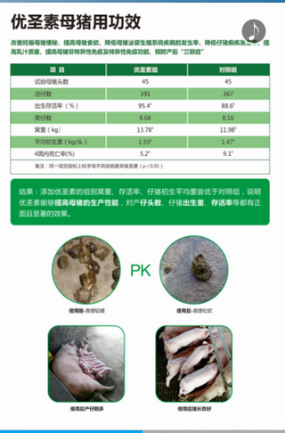 申亚新品  必属精品