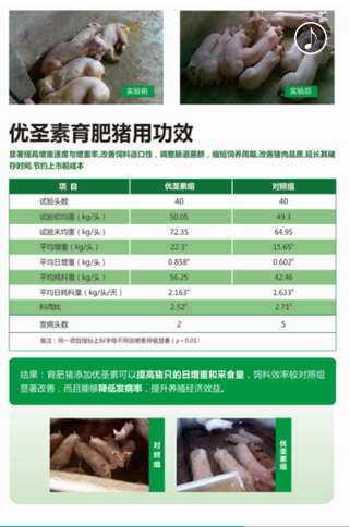 申亚新品  必属精品