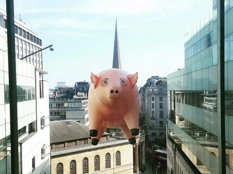 风口的一头猪撞上了BBC总部！原来是为了纪念一首歌