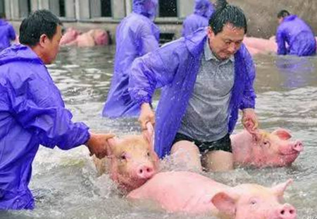 暴风雨来袭时，电子游艺网站
内涝如何解决？