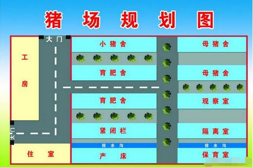 电子游艺网站
建设需要分成多少个区才能把猪养好？