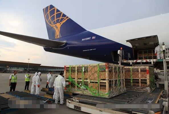 图：工作人员正在卸货　摄影：倪嘉云 2017年6月13日消息：6月13日，昆明长水国机场顺利保障了美国阿特拉斯航空公司全货机包机航班。本次包机航班由阿特拉斯航空公司一架波音747-400F全货机执行，航班共载运1080头种猪，共计98.2吨。 　　 　　据了解，此次货运包机的起点由美国芝加哥起飞，经美国安克雷奇和韩国仁川后抵达昆明机场。由于活体动物对周边环境的温度、空气质量等要求较高，加之本次机航班种猪数量多、航班飞行时间长，飞机货舱内温度、氧气调节完全依赖于飞机发动机提供，飞机落地后一旦关闭发动机，货舱内的空调、通风及供氧系统将暂时停止，如不能立即打开舱门通风，货舱内高温缺氧环境将在短时间内造成种猪大面积死亡。