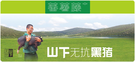 神奇的“山下无抗”