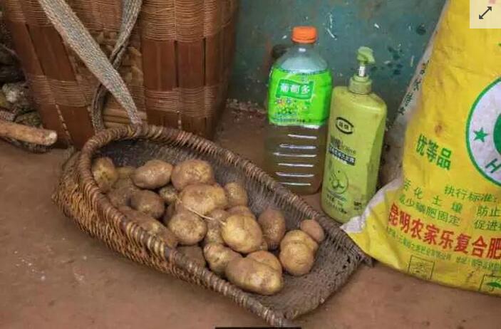 整整一个学期，孙启科都会呆在学校里读书，很少回来看家里人。