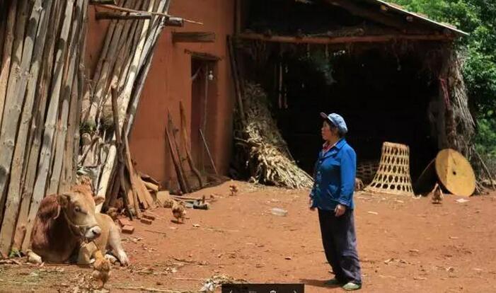 山路弯弯曲曲，有些地方仅容一辆车通过，路面也越来越差，最后变成一条土路，从树木间穿过。一早得到消息的孙启科早早就从山上骑着摩托车来接我们，汽车上不去，记者只有走路进入孙启科同学的深藏在山中的家里。