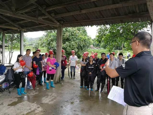 明确分工，强调工作纪律