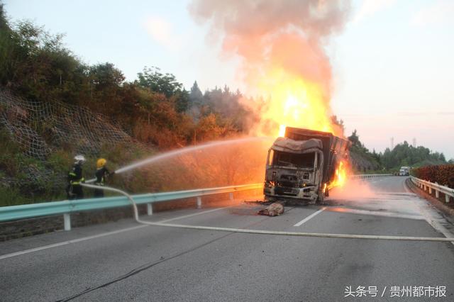 大货车失火，九十六头生猪葬身火海，都是它惹的祸……