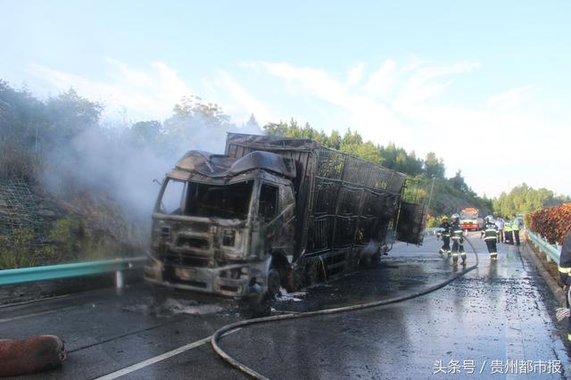 据货车驾驶员描述，他们两人从河南而来，欲将生猪运往贵州遵义，晚上在石阡县大沙坝乡服务休息过后，准备出发赶往遵义时，给车子加满了燃油，不料车子开出没多远，估计是车辆电气线路发生了故障，没过多久车子就燃起了，由于车内未配备灭火器，才导致小火酿成大灾。