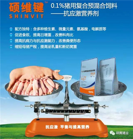  高温橙色预警持续拉响，母猪便秘频频出来造作？！听说这个办法简单实用，很多电子游艺网站
都在用！