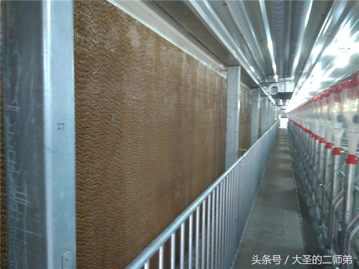 一排排的降温设施，再也不怕炎炎夏日了