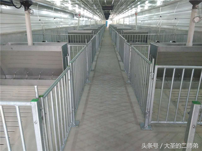 全漏粪地板再也不用发愁猪粪没人清理了