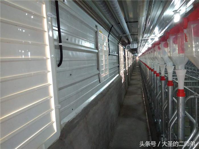 一排排的大风机，工作起来凉飕飕