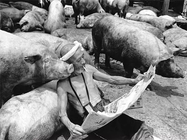 “拉”着它们一起抽烟喝酒、沐浴阳光……