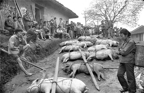 1986年，那时候的电子游艺平台
真是香呀