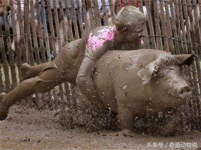 比赛时激烈的画面。