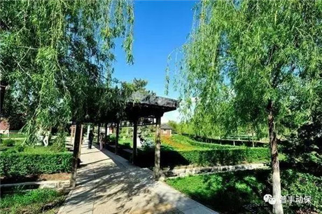 “携手诗华诺倍威·与普丰共创未来”夏季招商会在沈阳成功召开