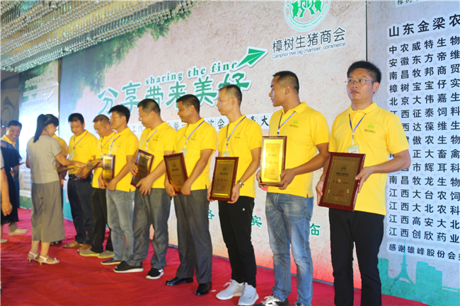 副会长、秘书长集体授牌