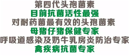 纵横新品上市 | 纵横呼泰（硫酸头孢喹肟注射液）