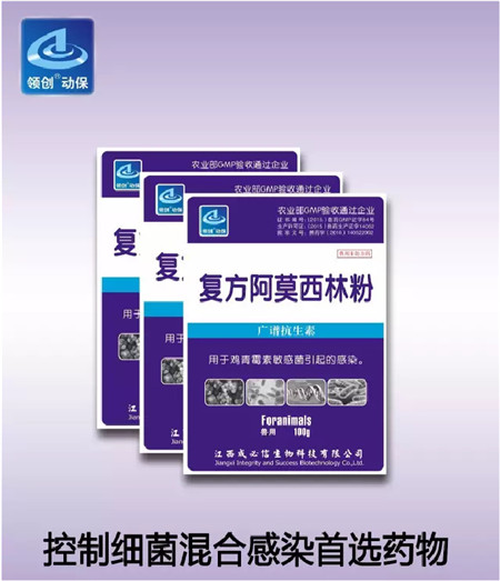 复方阿莫西林粉——控制细菌混合感染首选药物