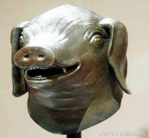 忆往昔，我国养猪历史如此多娇