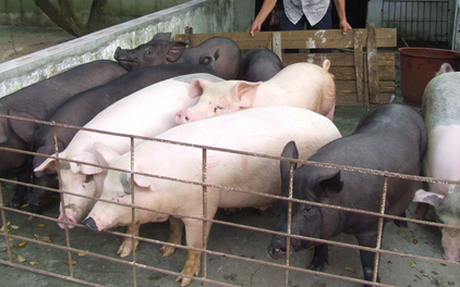 美国与阿根廷签署电子游艺平台
出口协议