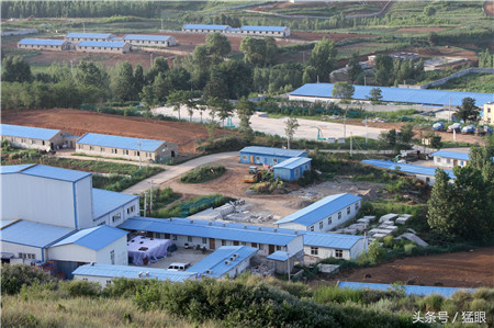 山沟里一排排蓝顶白墙板房，是猪住的地方，猪叫生态电子游艺平台
叫生态肉