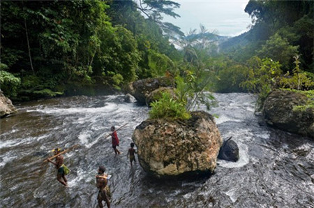 猪的生育能力强，存活率高，而且个头大，只要家里有个几头猪，就不愁没吃的了。