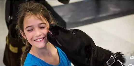 有了这些狗狗，熊孩子们就不会再在候机厅乱跑了，给家长们省了不少心。